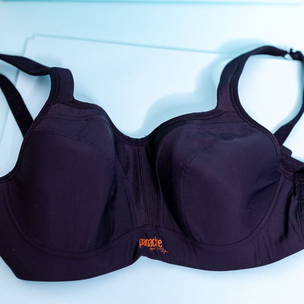 Panache Molded Wired Sports Bra 30 E